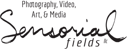 Sensorial Fields LLC   Photo Video Imagery Moods