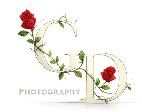 site-logo
