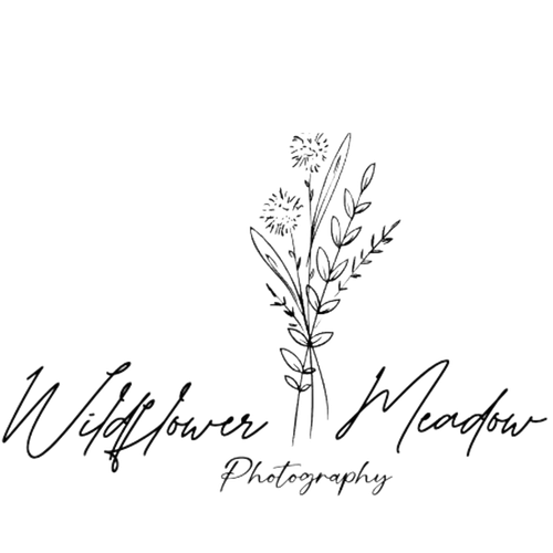 Wildflower Meadow Photography