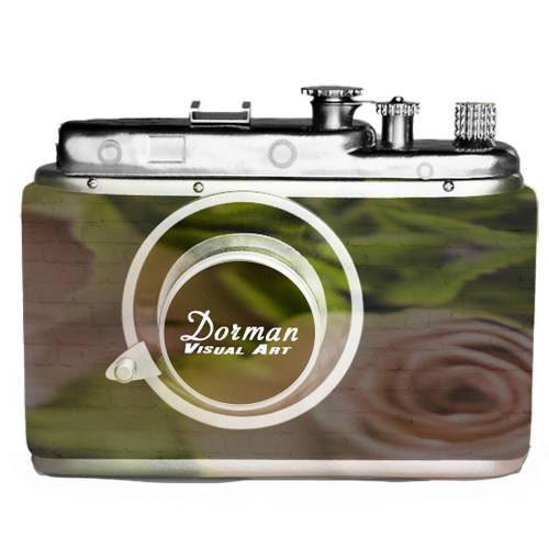 DORMAN VISUAL ART