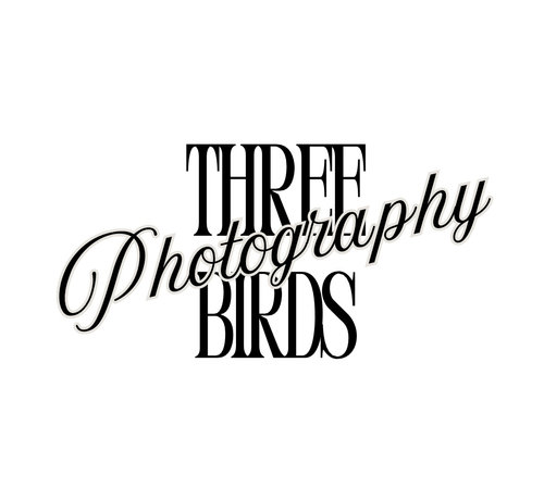 three birds photography