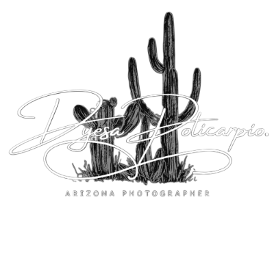 Dyesa Policarpio Photography