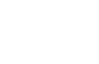 Ahmed Ali