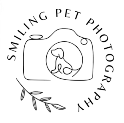 Smiling Pet Photography