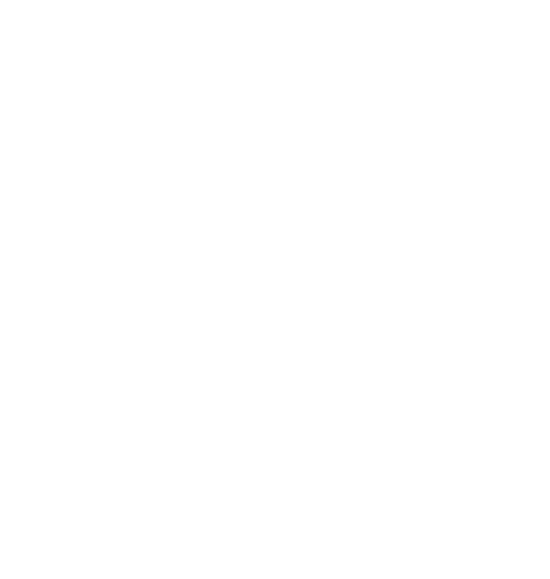 FIVE STARS CINE + STILLS
