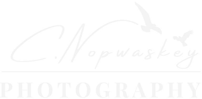 site-logo