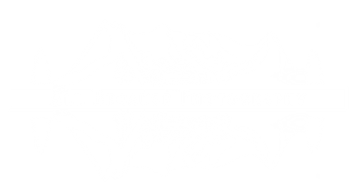 All Because Photography