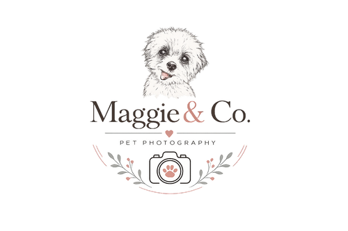 Maggie & Co Pet Photography