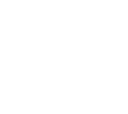Set Apart Photography