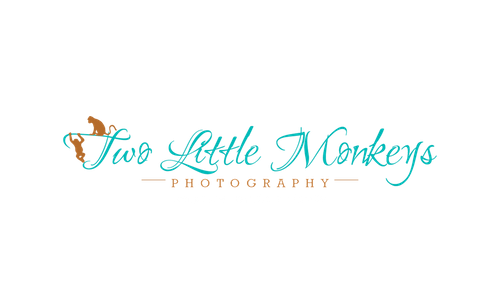 Two Little Monkeys Photography