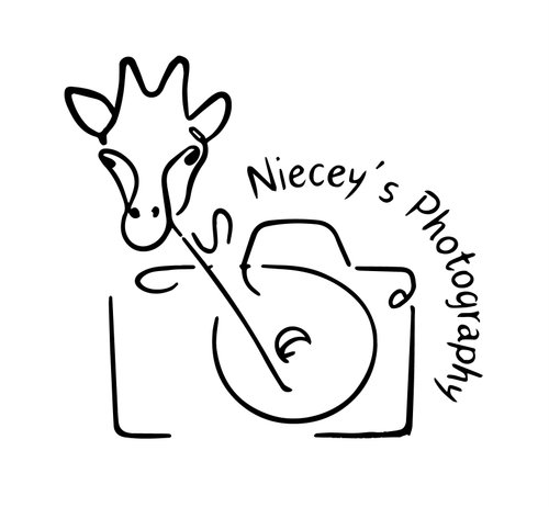Niecey’s Photography
