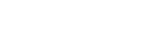 Swanky Bolt Studios