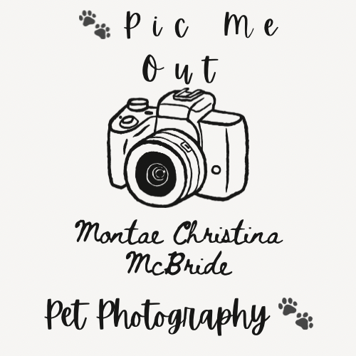 Pic Me Out Pet Photography