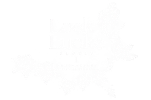 lookluoke Studio