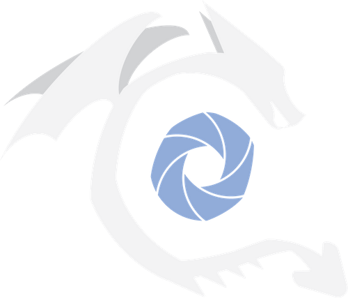 Coast Dragon Photo