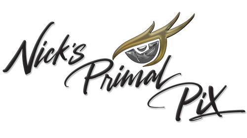 site-logo