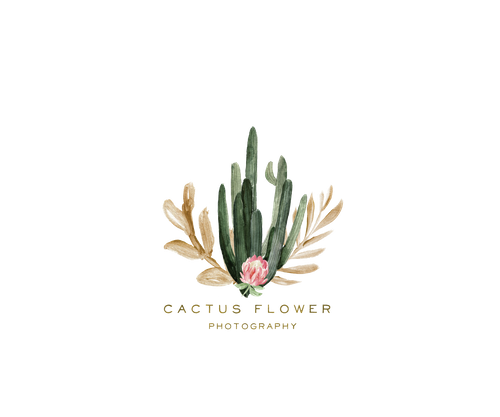Cactus Flower Photography