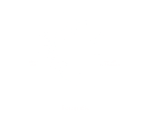 Unieke verhalen fotografie