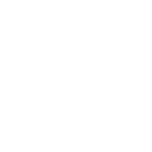 Higher Self Shoots