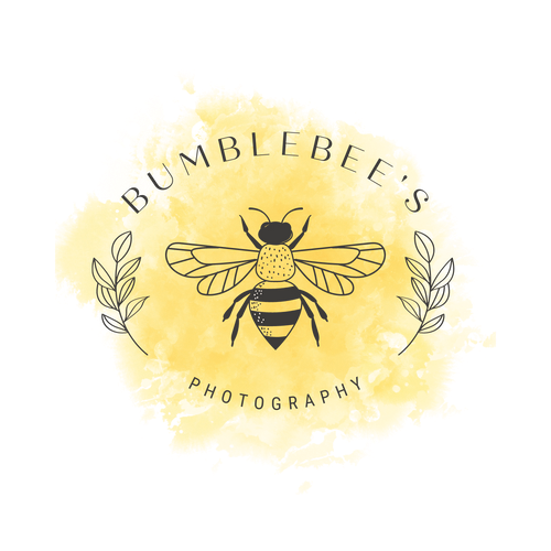 Bumblebee's Photography