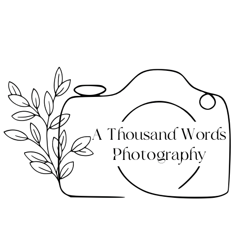 A Thousand Words Photography