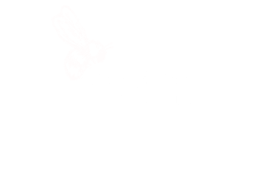 site-logo