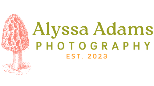 Alyssa Adams Photography