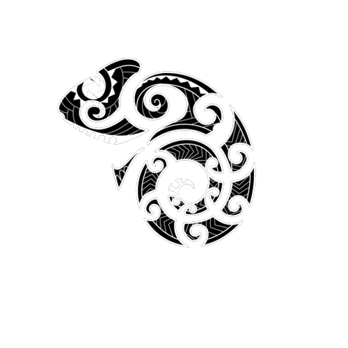 Camilleon Productions