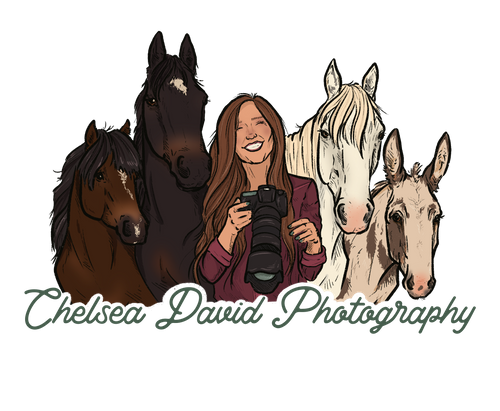 Chelsea David Photography