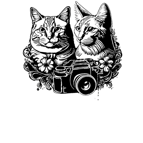 Renato Vintem Photography