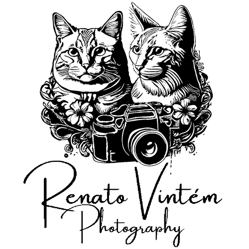 Renato Vintem Photography