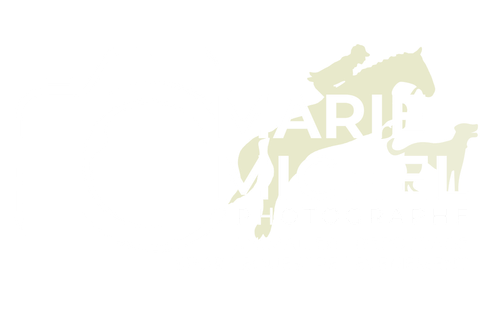 Marie Michel Photographe