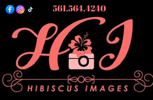 Hibiscus Images