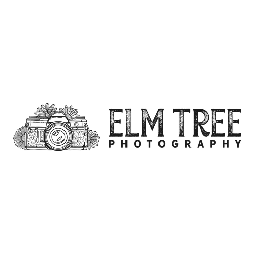 Elm Tree Photography
