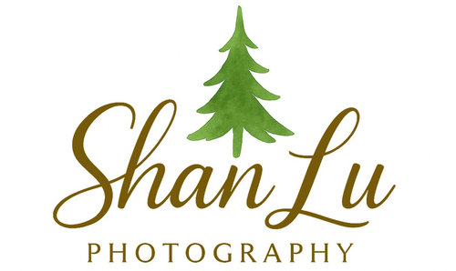 Shan Lu Photography