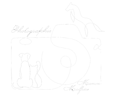 Malfrère Manon - Photographe animalière
