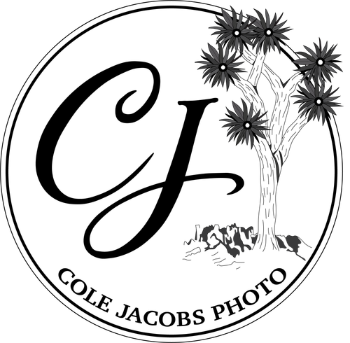 site-logo