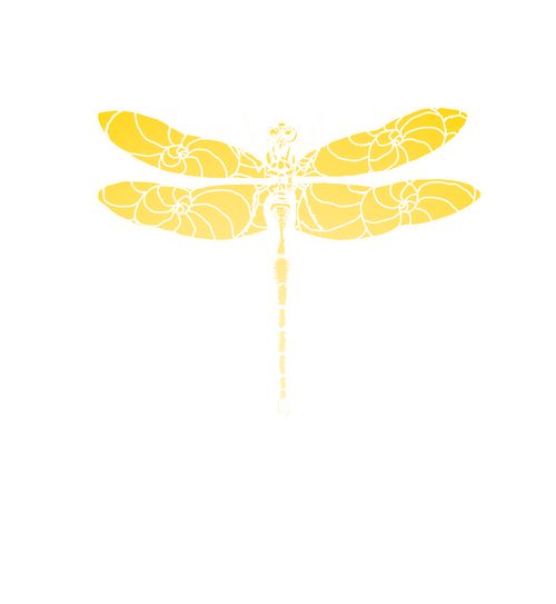 Jragonfli Productions