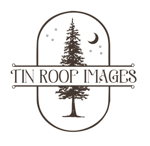 Tin Roof Images