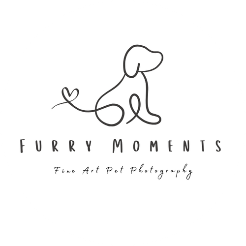 Furry Moments Pet Photography
