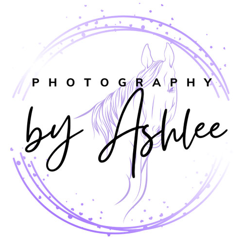Photography by Ashlee