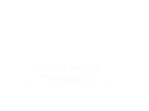 Wilbert Arends Photography