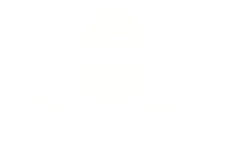 site-logo