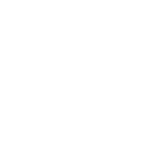 The Image Genie