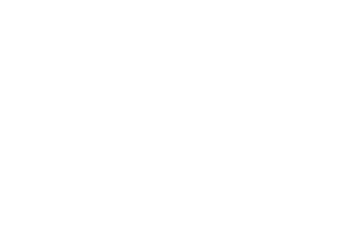 Busta Photo