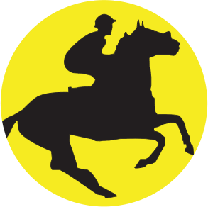 Need For Steed