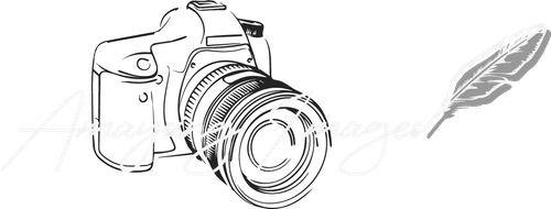 Amaysing Images