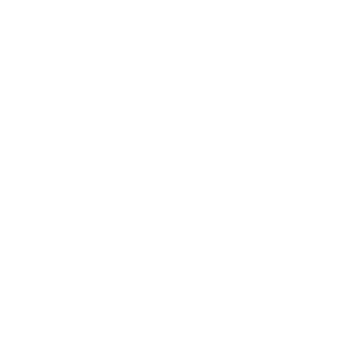 Megan Barge Photography
