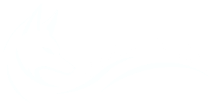 Elliott BZ