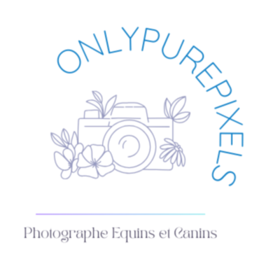 Onlypurepixels